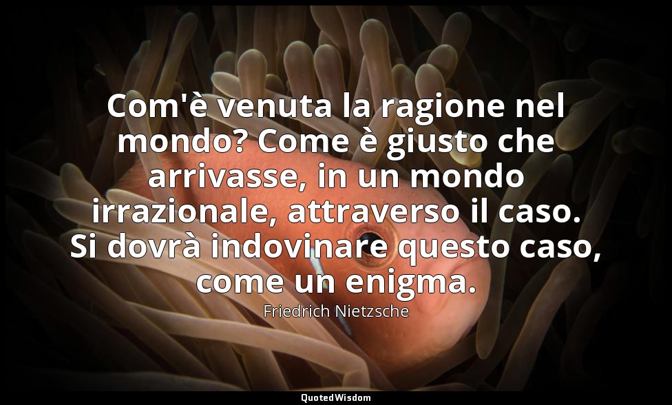 Com'è venuta la ragione nel mondo? Come è giusto che arrivasse, in un mondo irra — Friedrich Nietzsche