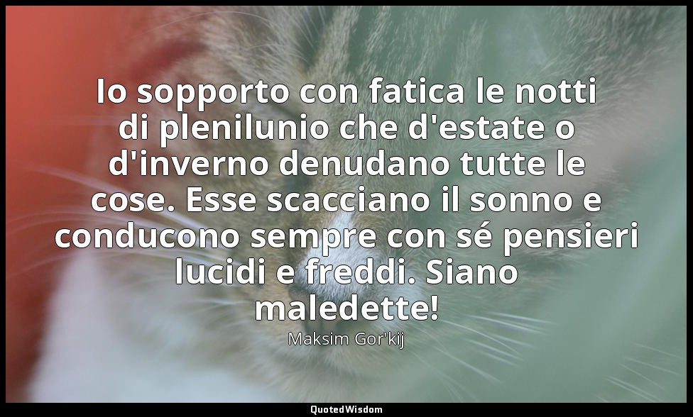Io sopporto con fatica le notti di plenilunio che d'estate o d'inverno denudano  — Maksim Gor'kij