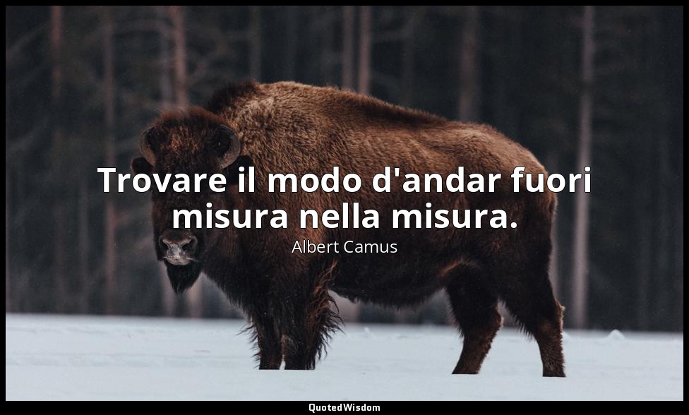 Trovare il modo d'andar fuori misura nella misura. — Albert Camus