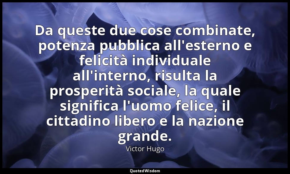 Da queste due cose combinate, potenza pubblica all'esterno e felicità individual — Victor Hugo