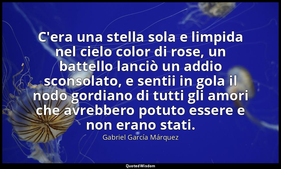 C'era una stella sola e limpida nel cielo color di rose, un battello lanciò un a — Gabriel García Márquez