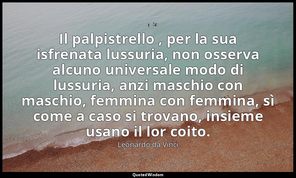 Il palpistrello , per la sua isfrenata lussuria, non osserva alcuno universale m — Leonardo da Vinci