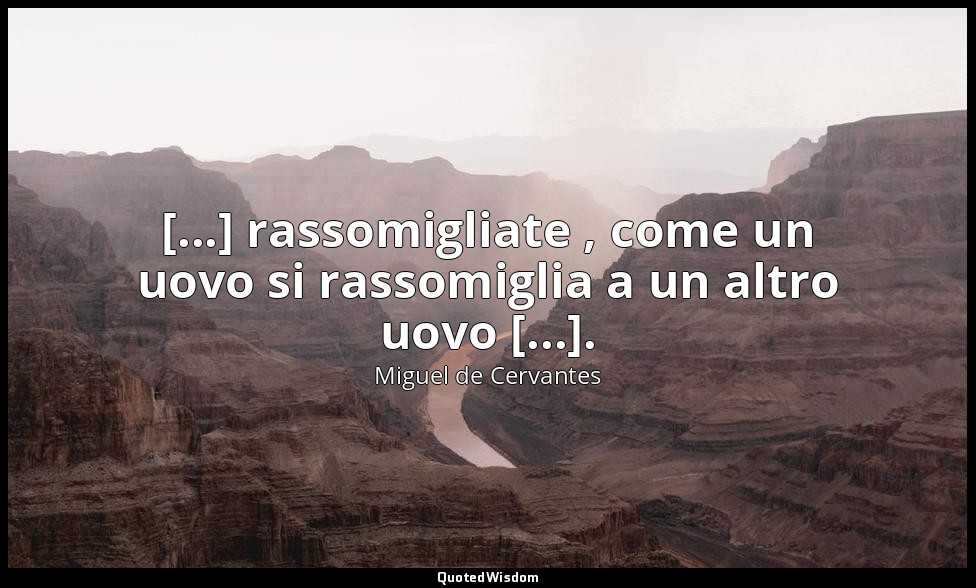 [...] rassomigliate , come un uovo si rassomiglia a un altro uovo [...]. — Miguel de Cervantes