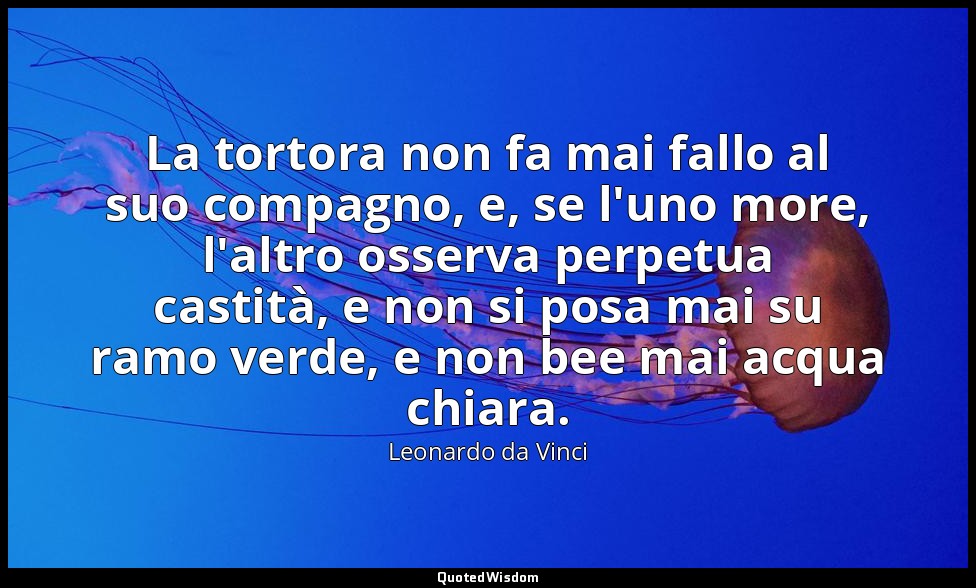 La tortora non fa mai fallo al suo compagno, e, se l'uno more, l'altro osserva p — Leonardo da Vinci