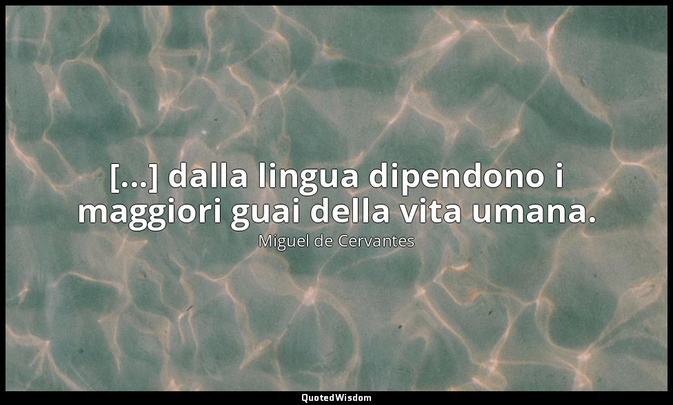 [...] dalla lingua dipendono i maggiori guai della vita umana. — Miguel de Cervantes