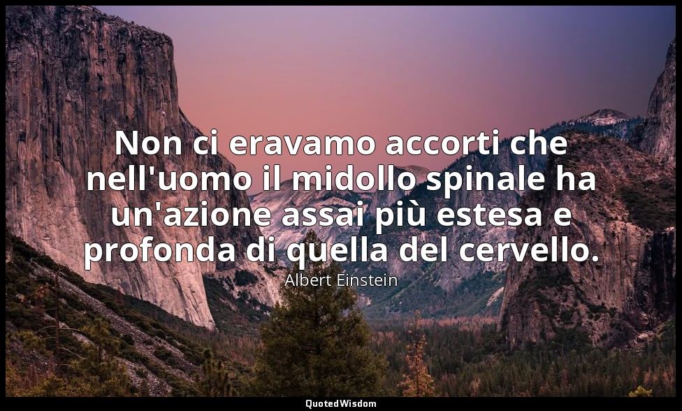 Non ci eravamo accorti che nell'uomo il midollo spinale ha un'azione assai più e — Albert Einstein