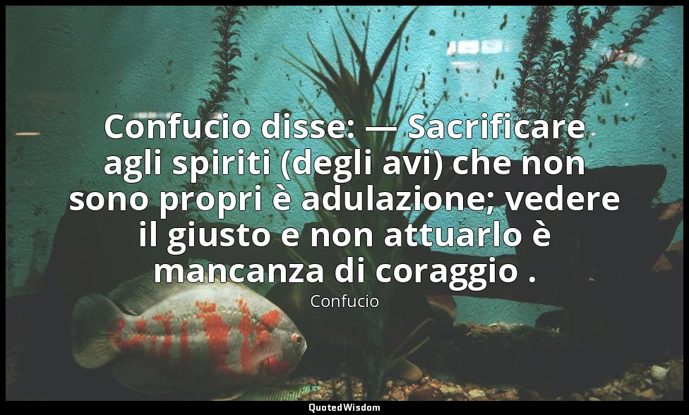 Confucio disse: — Sacrificare agli spiriti (degli avi) che non sono propri è adu — Confucio