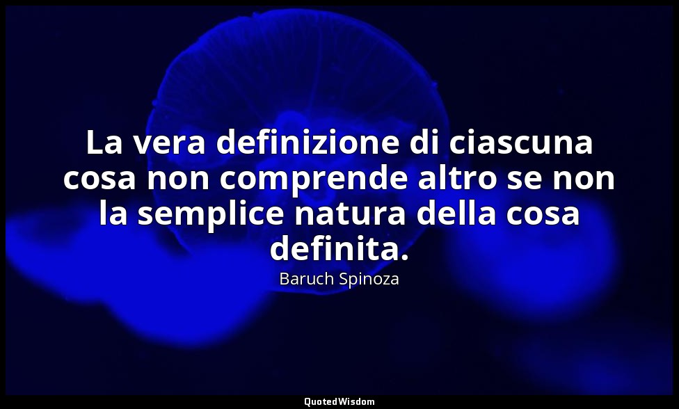 La vera definizione di ciascuna cosa non comprende altro se non la semplice natu — Baruch Spinoza