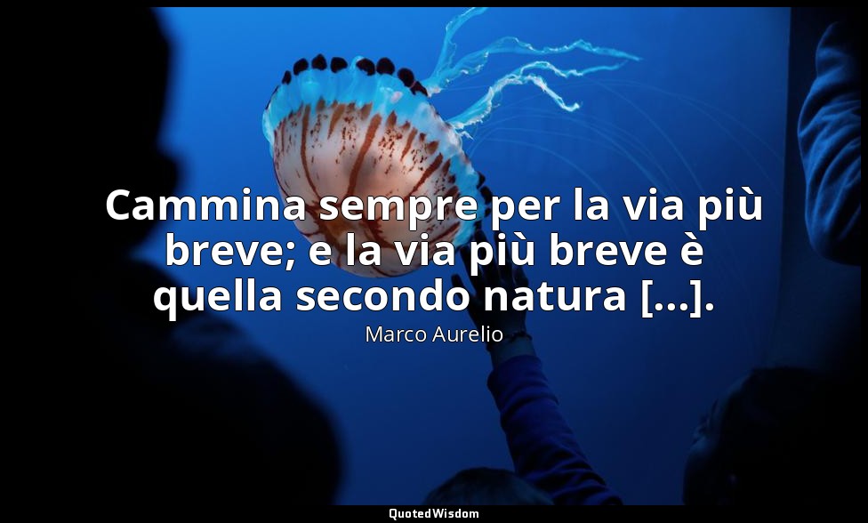 Cammina sempre per la via più breve; e la via più breve è quella secondo natura  — Marco Aurelio