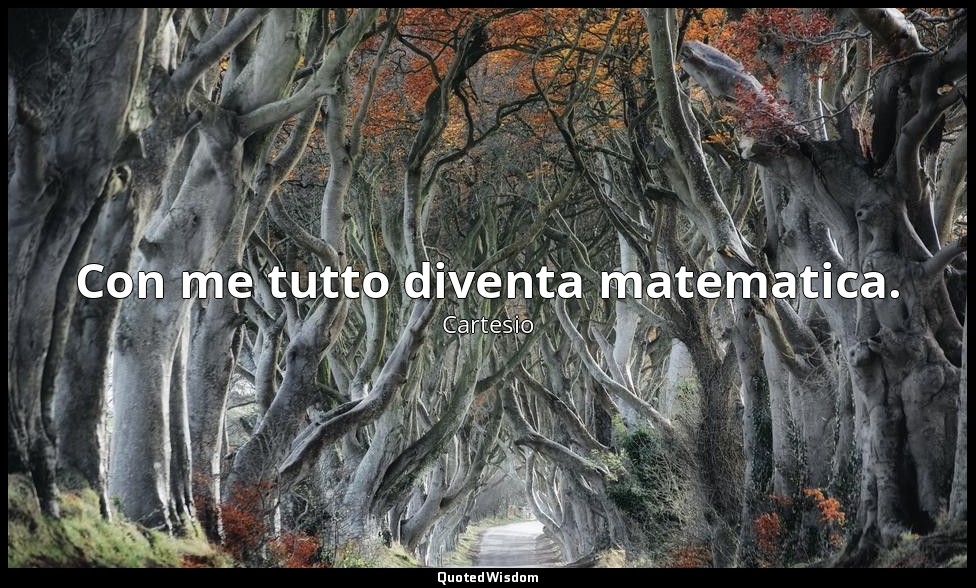 Con me tutto diventa matematica. — Cartesio