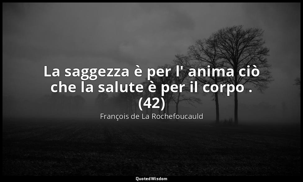 La saggezza è per l' anima ciò che la salute è per il corpo . (42) — François de La Rochefoucauld