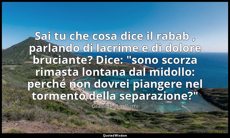 Sai tu che cosa dice il rabab , parlando di lacrime e di dolore bruciante? Dice: — Gialal al-Din Rumi