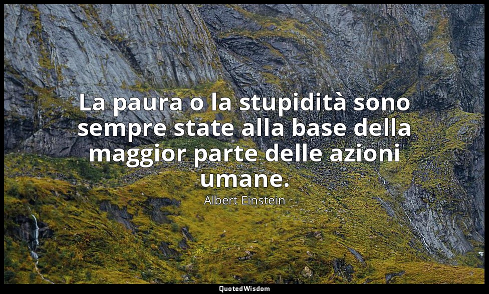 La paura o la stupidità sono sempre state alla base della maggior parte delle az — Albert Einstein