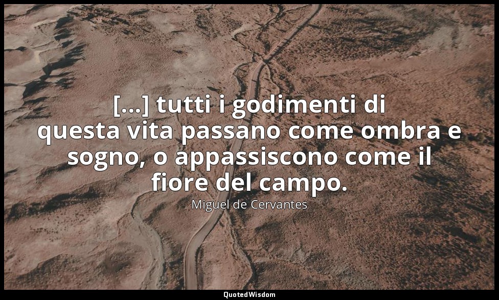 [...] tutti i godimenti di questa vita passano come ombra e sogno, o appassiscon — Miguel de Cervantes