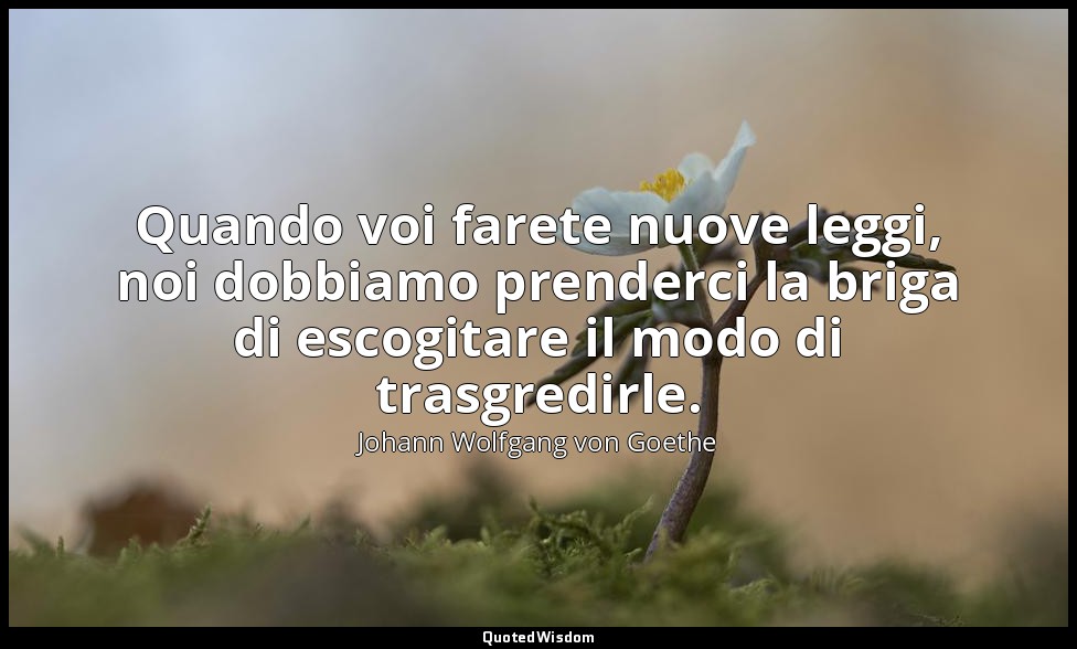 Quando voi farete nuove leggi, noi dobbiamo prenderci la briga di escogitare il  — Johann Wolfgang von Goethe