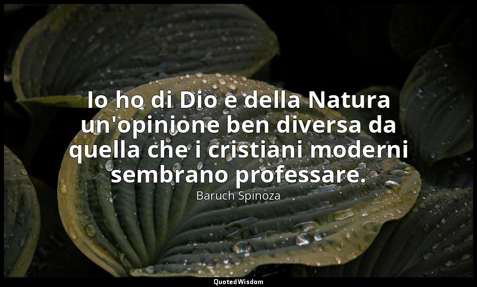 Io ho di Dio e della Natura un'opinione ben diversa da quella che i cristiani mo — Baruch Spinoza