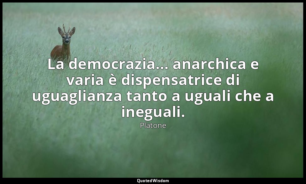La democrazia... anarchica e varia è dispensatrice di uguaglianza tanto a uguali — Platone