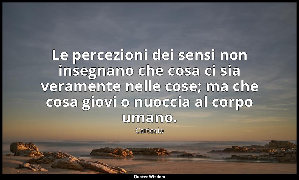 Le percezioni dei sensi non insegnano che cosa ci sia veramente nelle cose; ma c — Cartesio
