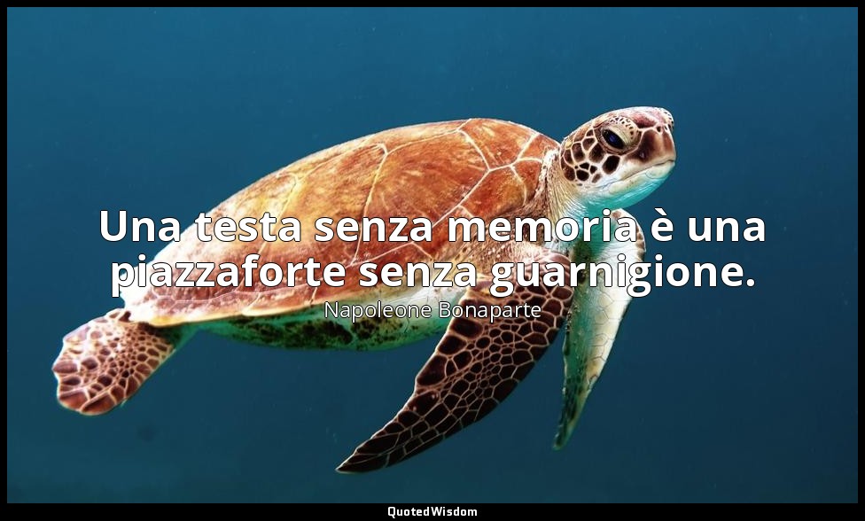 Una testa senza memoria è una piazzaforte senza guarnigione. — Napoleone Bonaparte