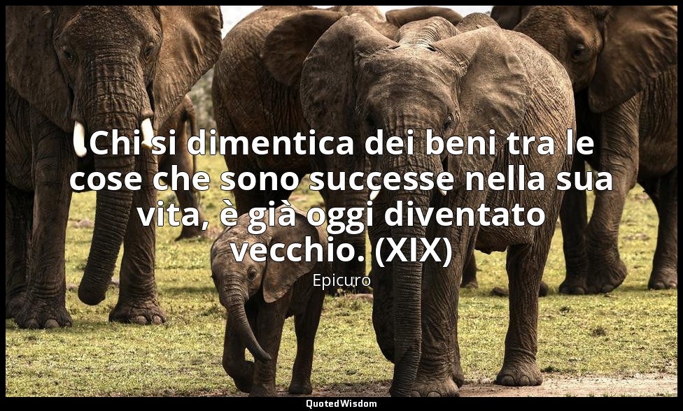Chi si dimentica dei beni tra le cose che sono successe nella sua vita, è già og — Epicuro