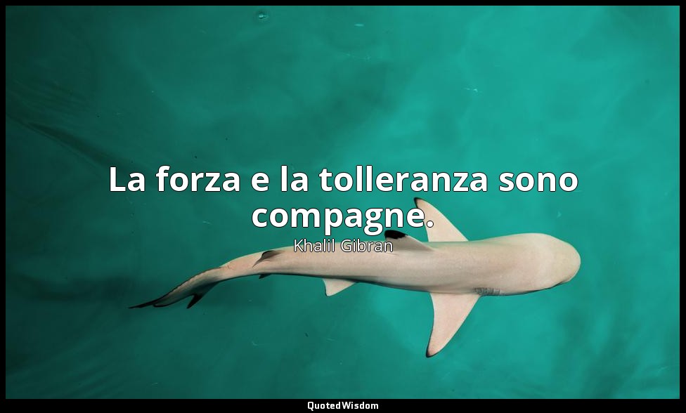 La forza e la tolleranza sono compagne. — Khalil Gibran