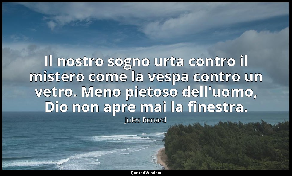 Il nostro sogno urta contro il mistero come la vespa contro un vetro. Meno pieto — Jules Renard