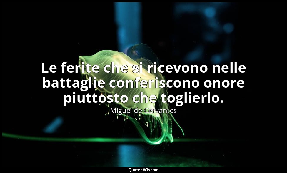 Le ferite che si ricevono nelle battaglie conferiscono onore piuttosto che togli — Miguel de Cervantes