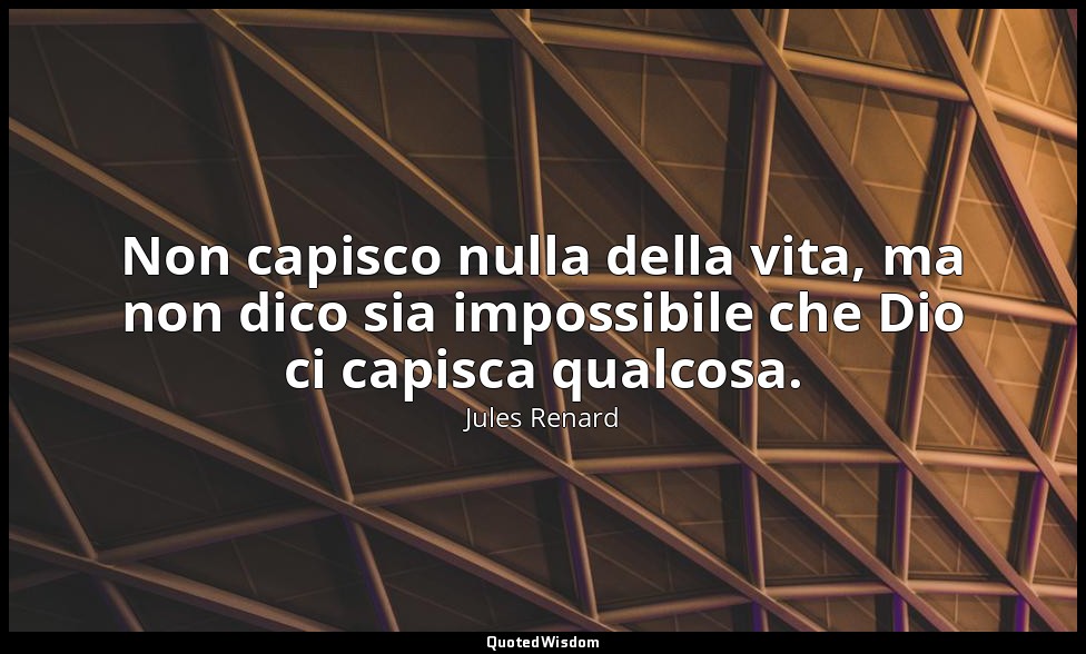 Non capisco nulla della vita, ma non dico sia impossibile che Dio ci capisca qua — Jules Renard