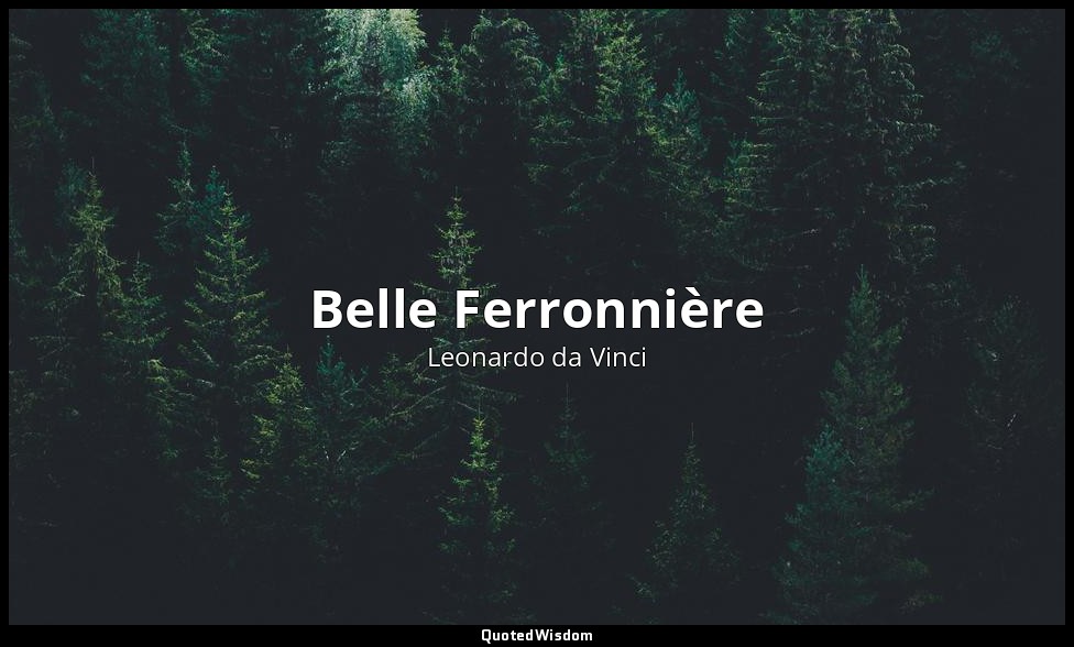 Belle Ferronnière — Leonardo da Vinci