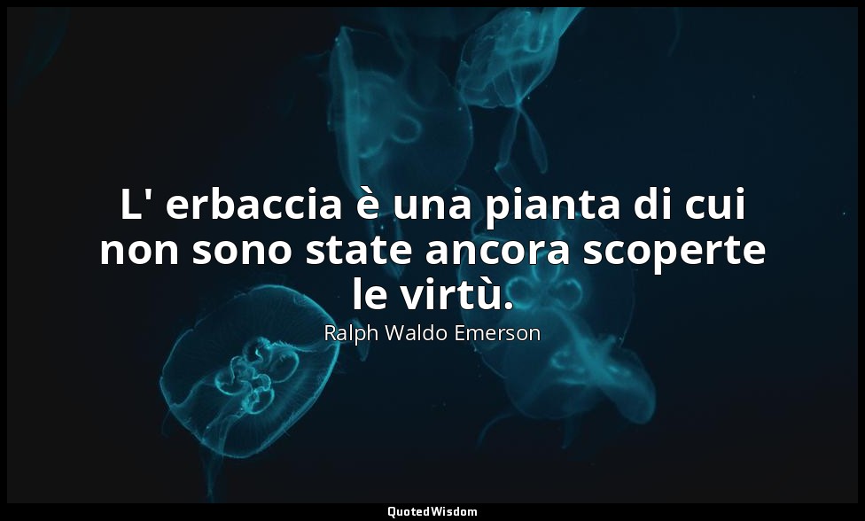 L' erbaccia è una pianta di cui non sono state ancora scoperte le virtù. — Ralph Waldo Emerson