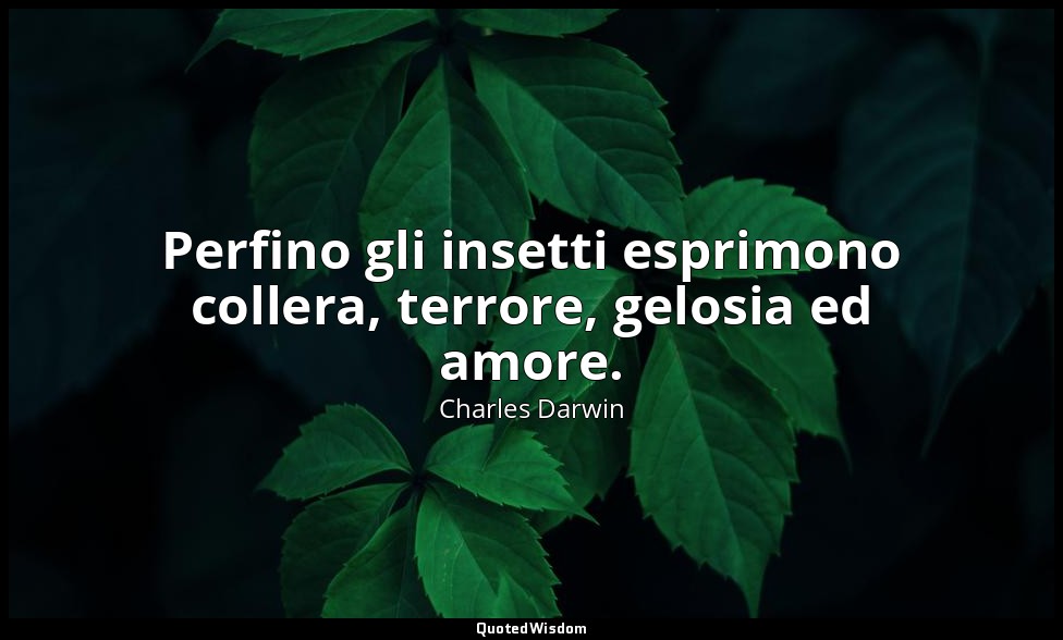 Perfino gli insetti esprimono collera, terrore, gelosia ed amore. — Charles Darwin