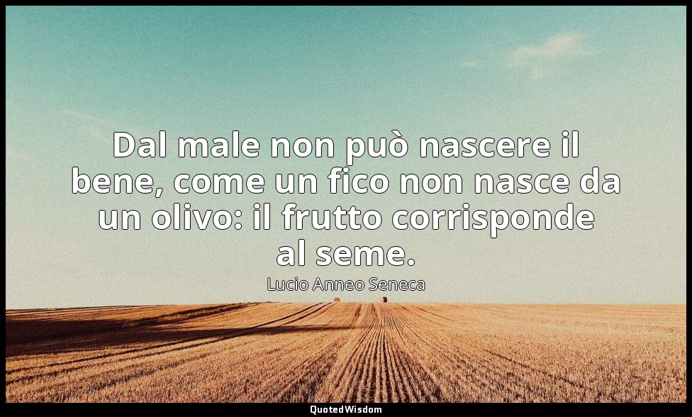 Dal male non può nascere il bene, come un fico non nasce da un olivo: il frutto  — Lucio Anneo Seneca