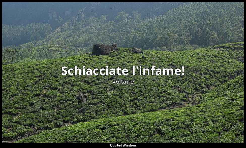 Schiacciate l'infame! — Voltaire