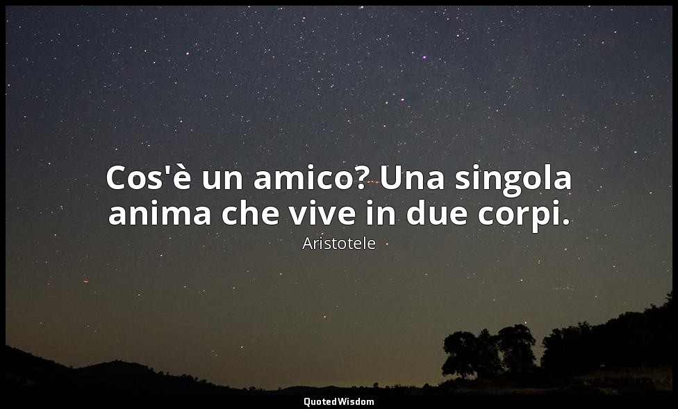 Cos'è un amico? Una singola anima che vive in due corpi. — Aristotele