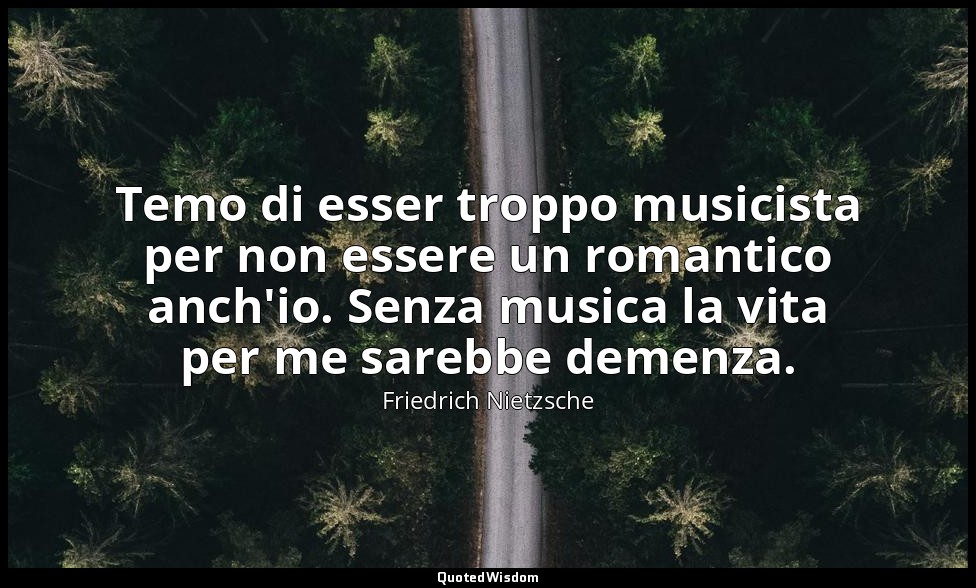 Temo di esser troppo musicista per non essere un romantico anch'io. Senza musica — Friedrich Nietzsche