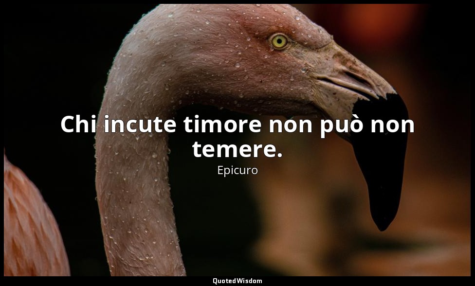 Chi incute timore non può non temere. — Epicuro