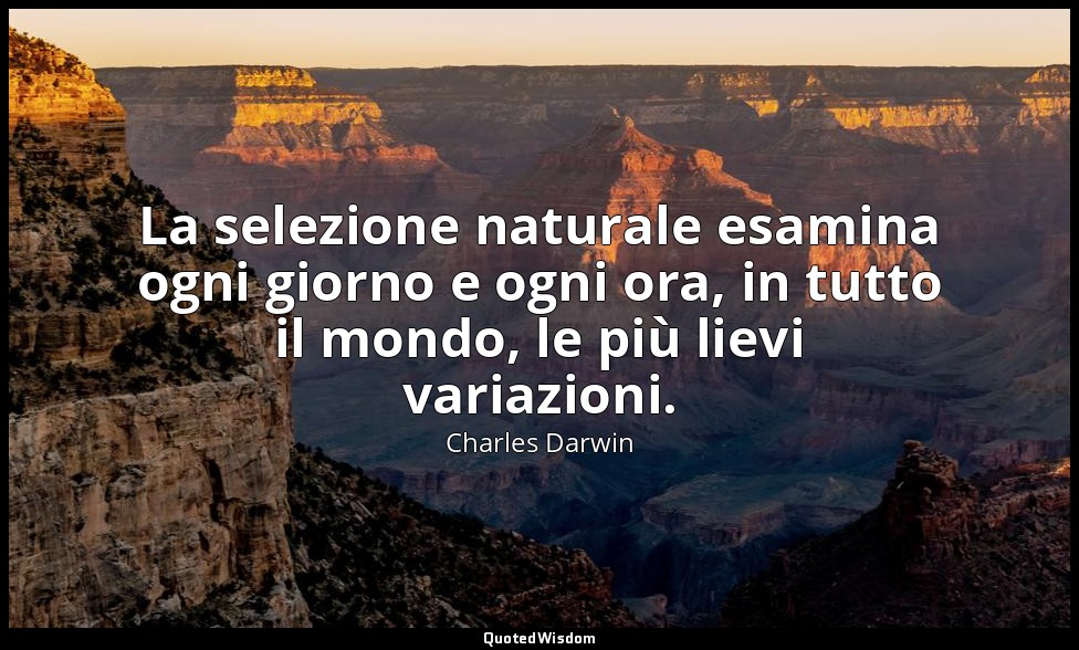 La selezione naturale esamina ogni giorno e ogni ora, in tutto il mondo, le più  — Charles Darwin