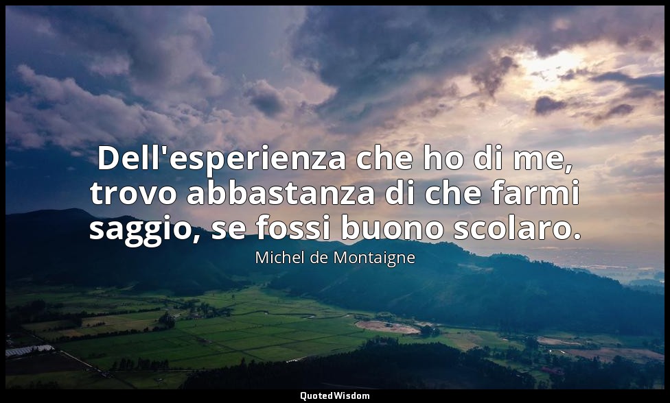 Dell'esperienza che ho di me, trovo abbastanza di che farmi saggio, se fossi buo — Michel de Montaigne