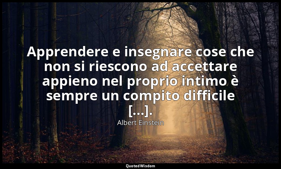 Apprendere e insegnare cose che non si riescono ad accettare appieno nel proprio — Albert Einstein