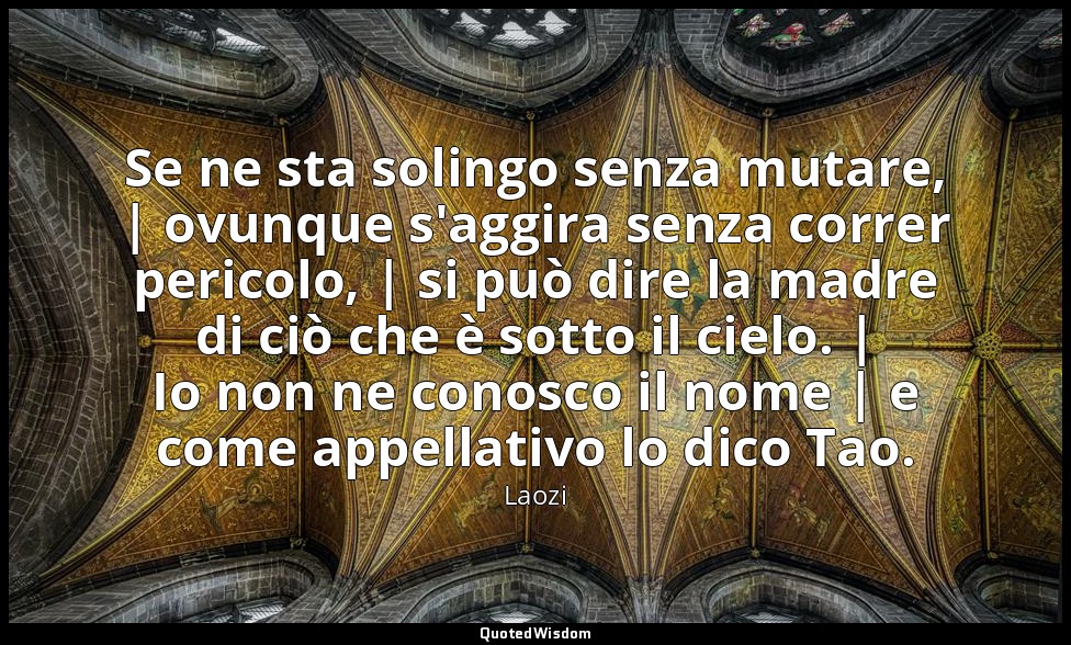Se ne sta solingo senza mutare, | ovunque s'aggira senza correr pericolo, | si p — Laozi