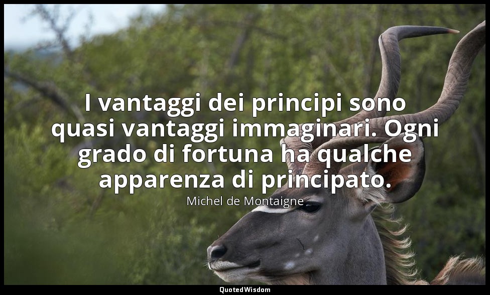 I vantaggi dei principi sono quasi vantaggi immaginari. Ogni grado di fortuna ha — Michel de Montaigne