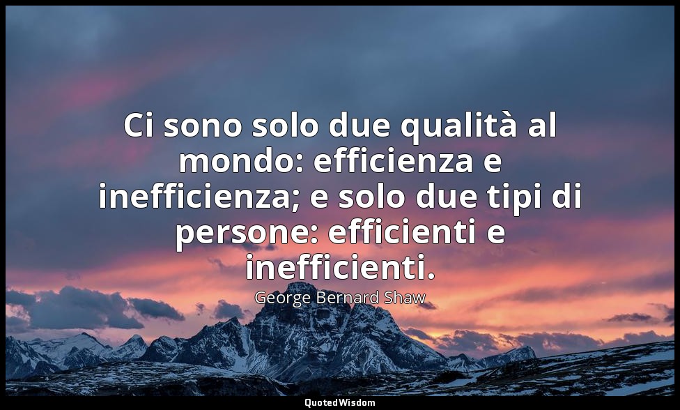 Ci sono solo due qualità al mondo: efficienza e inefficienza; e solo due tipi di — George Bernard Shaw
