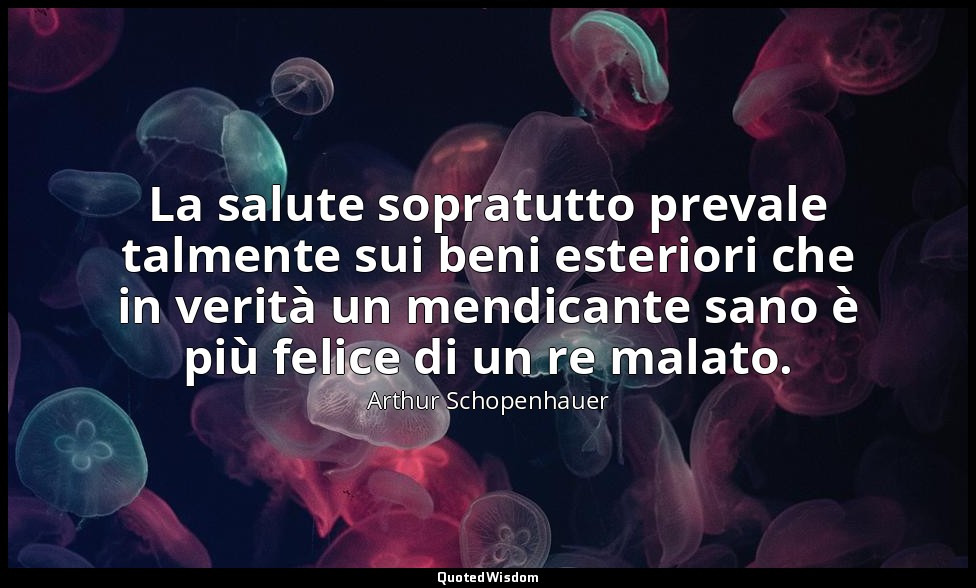 La salute sopratutto prevale talmente sui beni esteriori che in verità un mendic — Arthur Schopenhauer