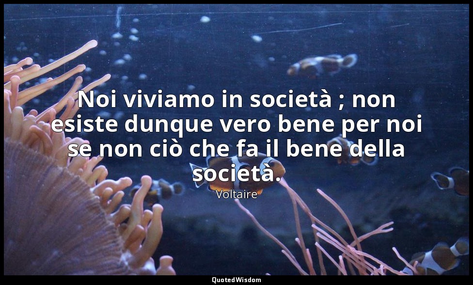Noi viviamo in società ; non esiste dunque vero bene per noi se non ciò che fa i — Voltaire