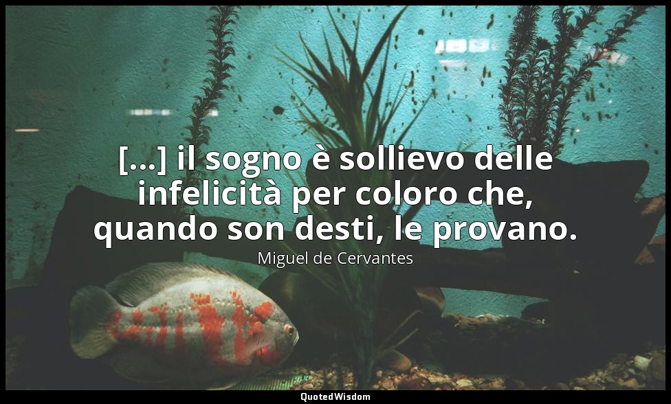 [...] il sogno è sollievo delle infelicità per coloro che, quando son desti, le  — Miguel de Cervantes