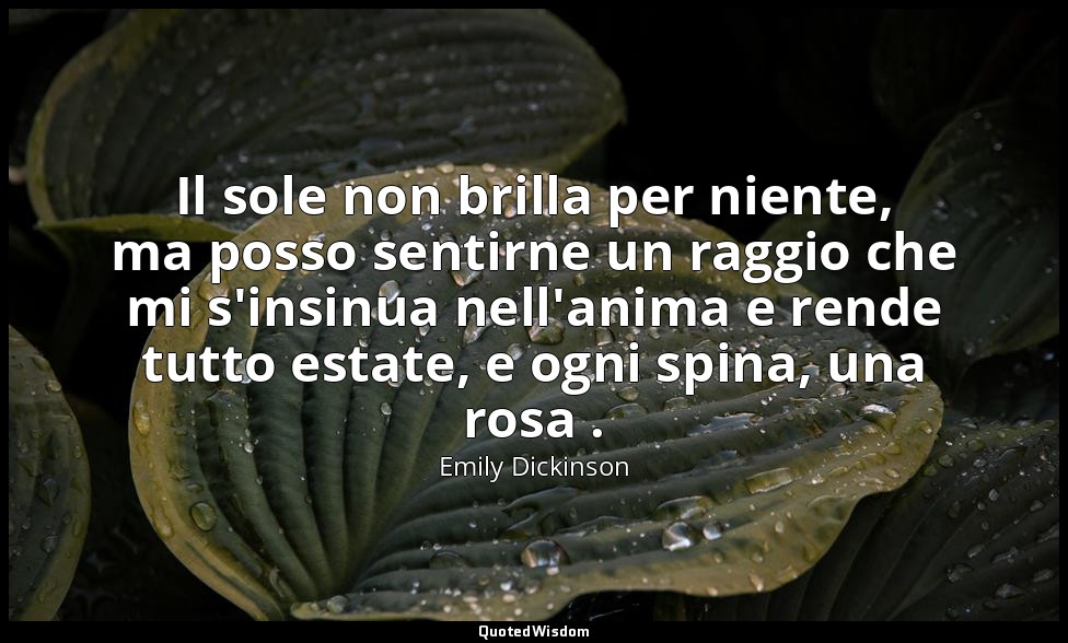Il sole non brilla per niente, ma posso sentirne un raggio che mi s'insinua nell — Emily Dickinson