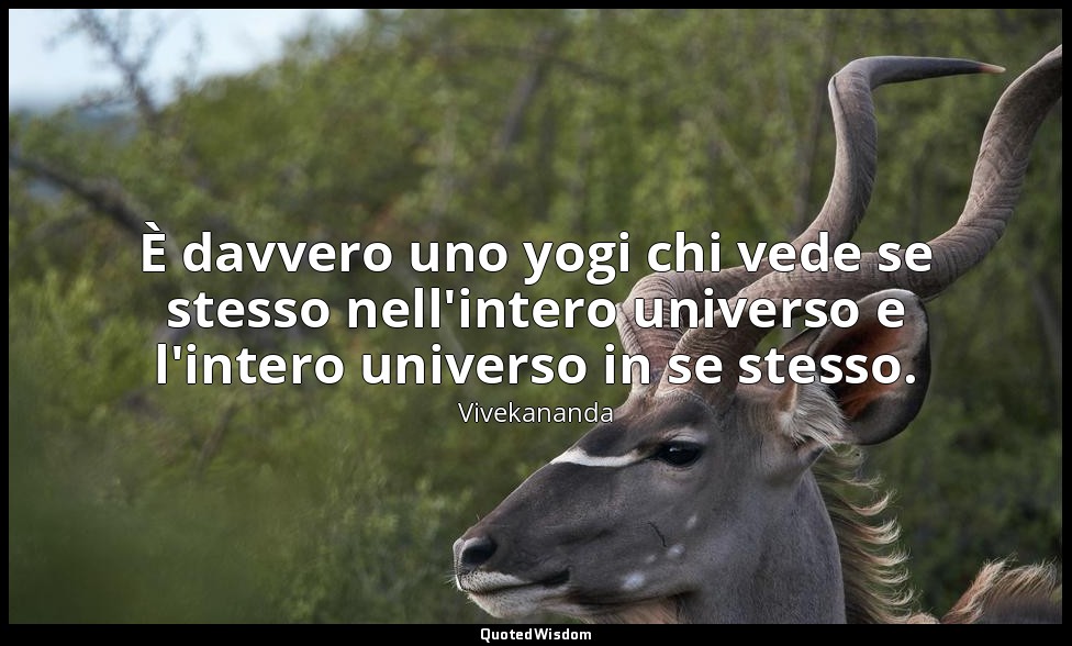 È davvero uno yogi chi vede se stesso nell'intero universo e l'intero universo i — Vivekananda