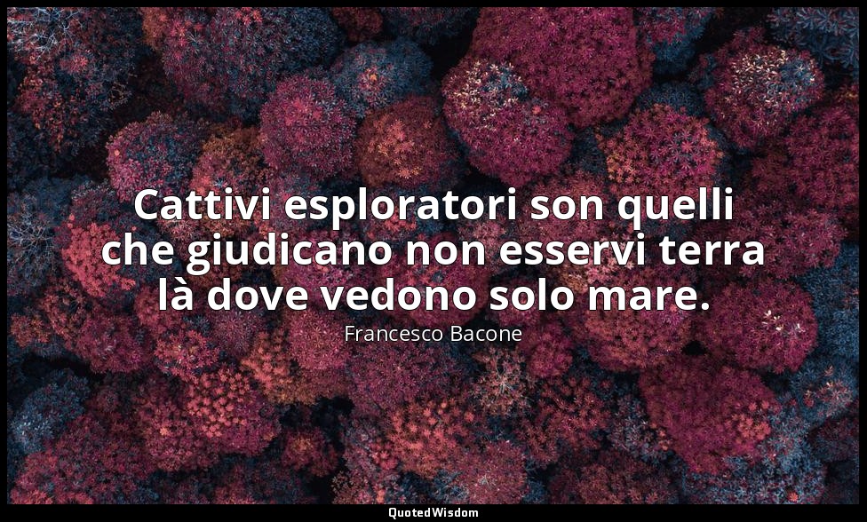 Cattivi esploratori son quelli che giudicano non esservi terra là dove vedono so — Francesco Bacone