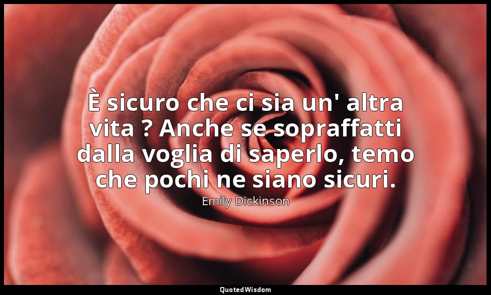 È sicuro che ci sia un' altra vita ? Anche se sopraffatti dalla voglia di saperl — Emily Dickinson