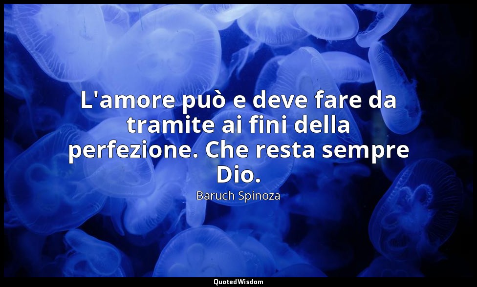 L'amore può e deve fare da tramite ai fini della perfezione. Che resta sempre Di — Baruch Spinoza